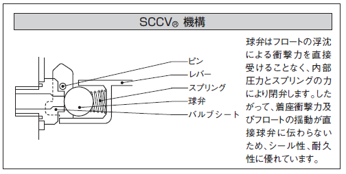 SCCV_G.png