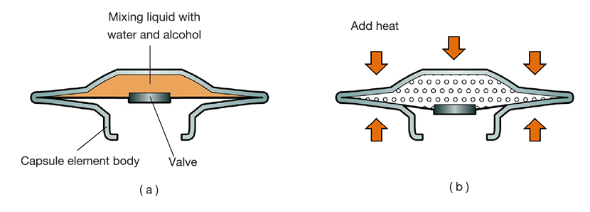 Figure 2.9 capsule element.png